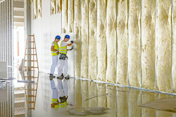 Best Insulation Installation Services in Harrisburg, SD